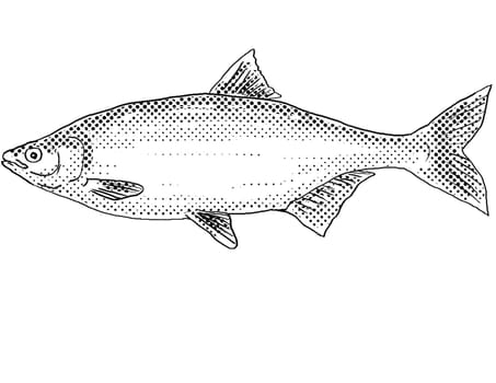 Cartoon style line drawing of a hitch or Lavinia exilicauda a freshwater fish endemic to North America with halftone dots shading on isolated background in black and white.