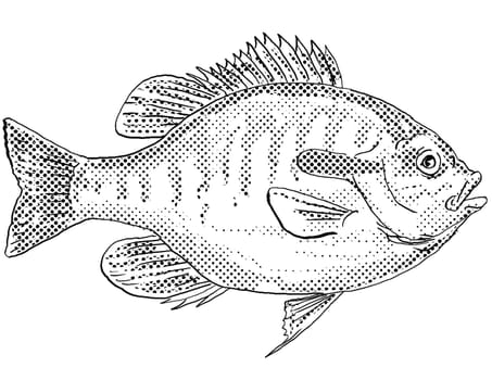 Cartoon style line drawing of a Redbreast sunfish or Lepomis auritus a freshwater fish endemic to North America with halftone dots shading on isolated background in black and white.