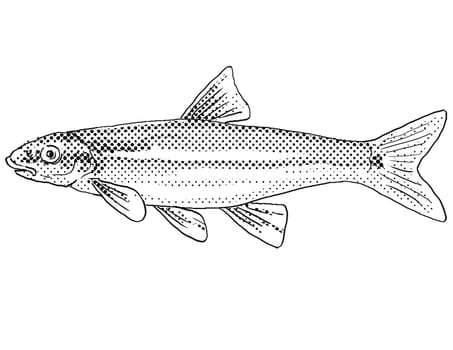 Cartoon style line drawing of a longnose dace or Rhinichthys cataractae a freshwater fish endemic to North America with halftone dots shading on isolated background in black and white.