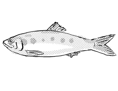 Cartoon style line drawing of a Twait Shad or Alosa fallax a fish endemic to Germany and Europe in Atlantic Ocean with halftone dots shading on isolated background in black and white.