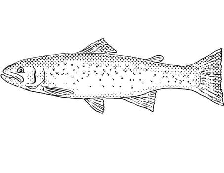 Cartoon style line drawing of a rainbow trout Oncorhynchus mykiss or steelhead a freshwater fish endemic to North America with halftone dots shading on isolated background in black and white.