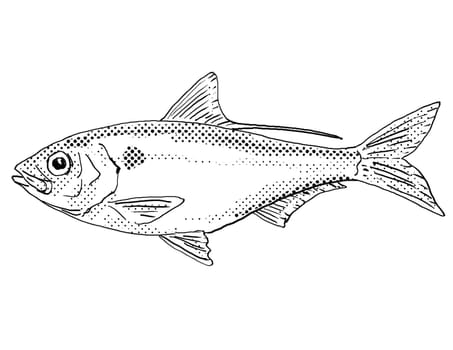 Cartoon style line drawing of a threadfin shad or Dorosoma petenense  a freshwater fish endemic to North America with halftone dots shading on isolated background in black and white.