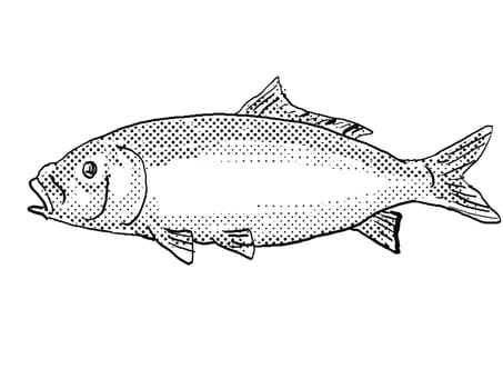 Cartoon style drawing of a bigmouth buffalo or Ictiobus cyprinellus freshwater fish found in North America with halftone dots on isolated background in black and white.