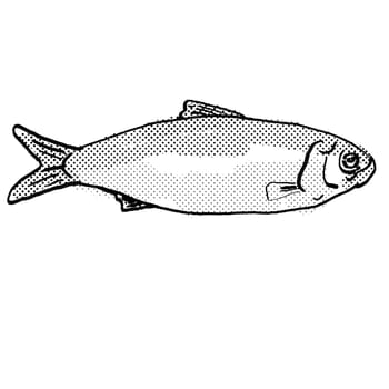 Cartoon style drawing of an alewife or Alosa pseudoharengus freshwater fish found in North America with halftone dots on isolated background in black and white.