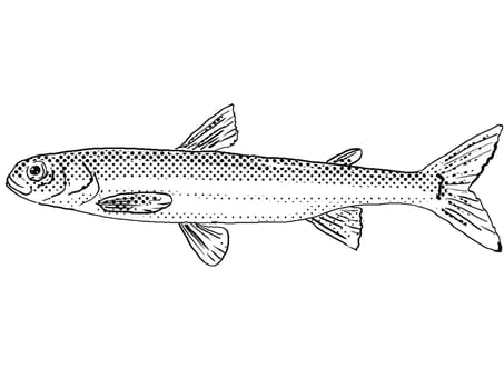 Cartoon style line drawing of a pygmy smelt or Osmerus spectrum  a freshwater fish endemic to North America with halftone dots shading on isolated background in black and white.