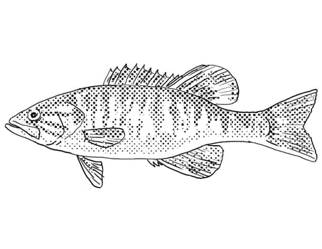 Cartoon style line drawing of a shoal bass or Micropterus cataractae  a freshwater fish endemic to North America with halftone dots shading on isolated background in black and white.
