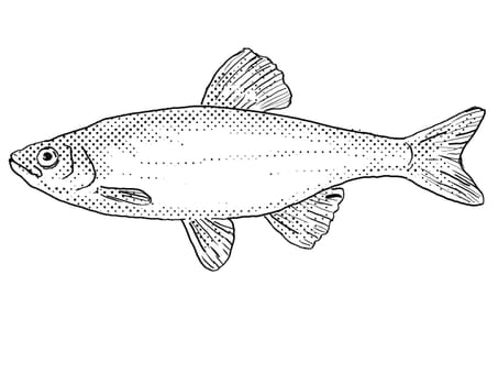 Cartoon style line drawing of a spotfin shiner or Cyprinella spiloptera freshwater fish endemic to North America with halftone dots shading on isolated background in black and white.