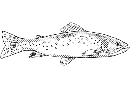 Cartoon style line drawing of a westslope cutthroat trout or Oncorhynchus clarkii lewisi a freshwater fish endemic to North America with halftone dots shading on isolated background in black and white.