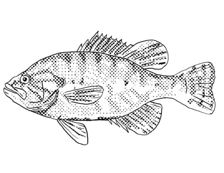 Cartoon style line drawing of a warmouth,  molly, redeye or Lepomis gulosus a freshwater fish endemic to North America with halftone dots shading on isolated background in black and white.