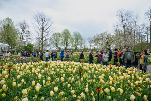 Lisse, Netherlands - April 17, 2019: Numerous people walk in a Keukenhof park View from above