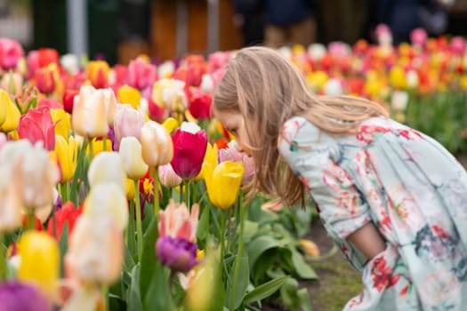 A child girl smelling in a park with the tulips