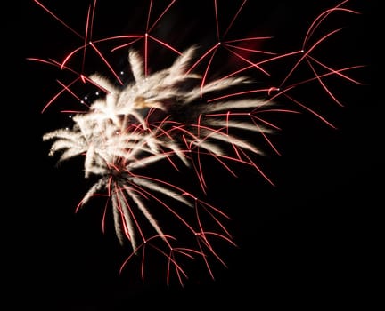 Abstract fireworks background on the night sky