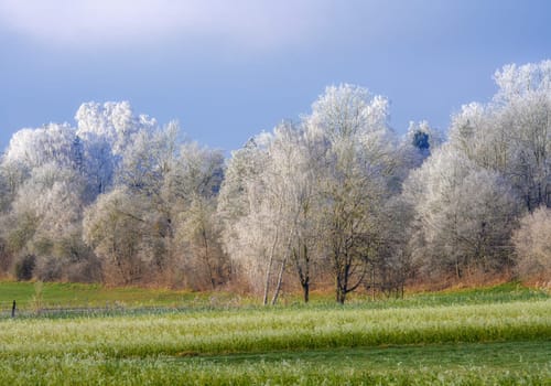 Bavarian winter landscape with frost covered trees seen in Schrobenhausen (Bavaria, Germany)