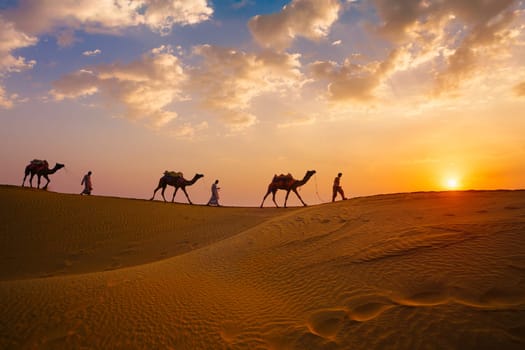 Indian cameleers camel drivers bedouin with camel silhouettes in sand dunes of Thar desert on sunset. Caravan in Rajasthan travel tourism background safari adventure. Jaisalmer, Rajasthan, India
