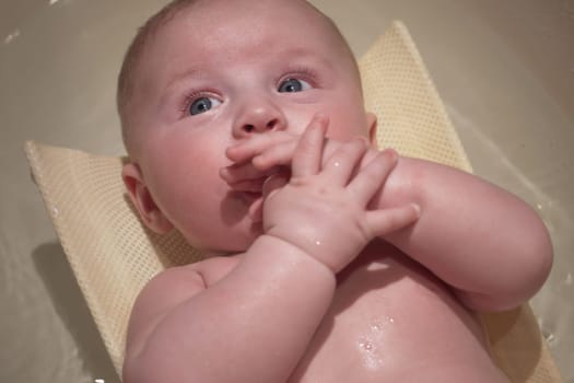 Infant baby boy washed in small bath tub, view from above