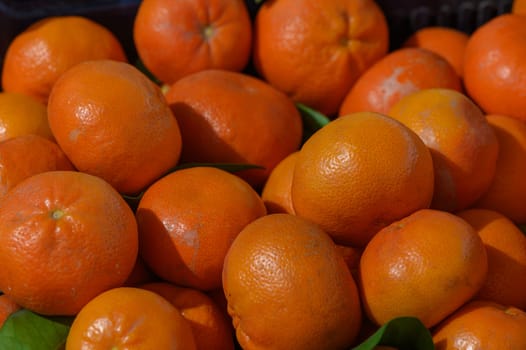 Bright orange citrus fruits rest in a market display, basking in the golden rays of the morning sun. The atmosphere buzzes with energy, drawing in eager shoppers.