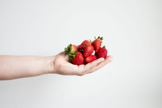 Hand holding fresh strawberries against white background.