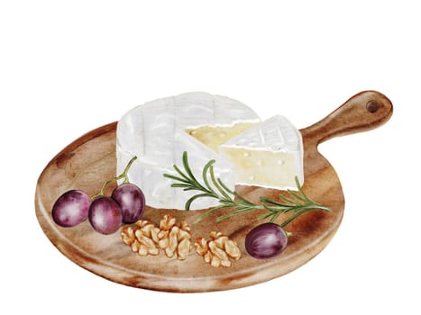 Piece of cheese watercolor. Hand drawn brie on a wooden cutting board. Italian cheese with grapes on white background. Clip art food. Ideal for restaurant menus, recipe books and farm dairy product packaging. High quality illustration