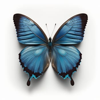 Flat lay view of the blue butterfly on the white background, created with generative AI
