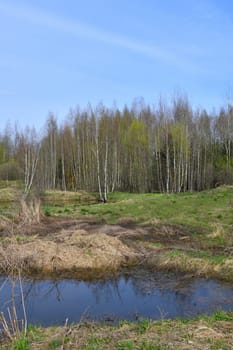 Landscape in an early spring with melt water