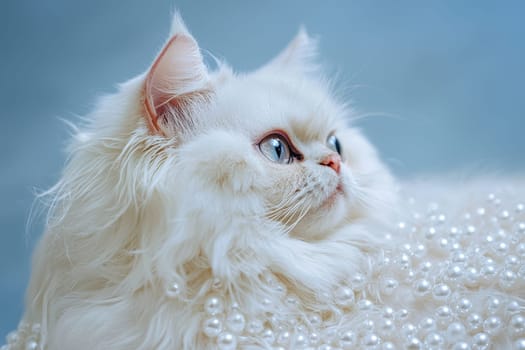 A fluffy white cat with striking blue eyes sits elegantly draped in pearls against a soft blue backdrop, highlighting its luxurious fur and royal demeanor.