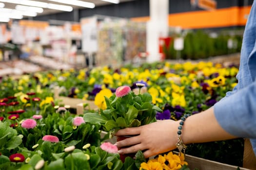Girl Choosing Potted Flowers In Supermarket