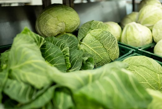 Cabbage In The Vegetable Section Of The Supermarket