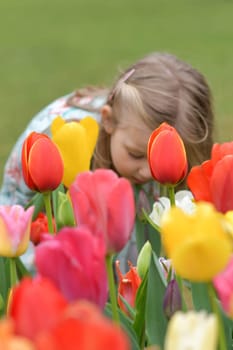 A child girl smelling in a park with the tulips