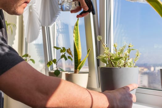 Man spraying indoor plants on the windowsill
