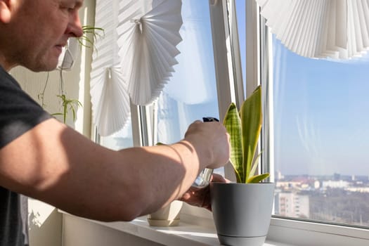Man spraying indoor plants on the windowsill