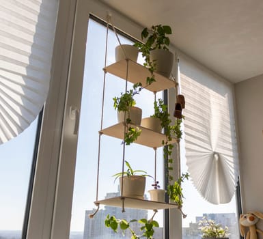 Shot of the indoor plant on the windowsill on decorative shelf