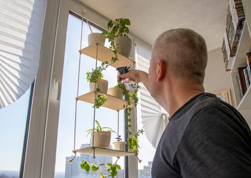 Man spraying indoor plants on the windowsill on decorative shelf
