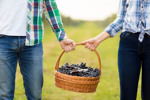 Couple carries a basket of grapes