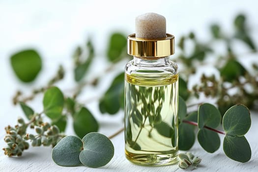 Glass bottle of eucalyptus essential oil sits elegantly among fresh eucalyptus leaves, showcasing the greenery on a wooden surface in soft lighting.