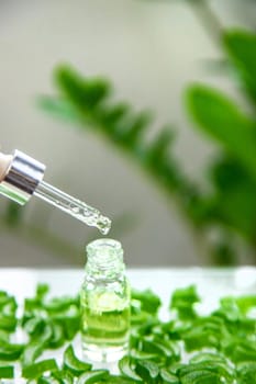 Aloe vera capsules and extract drops. Selective focus. nature.