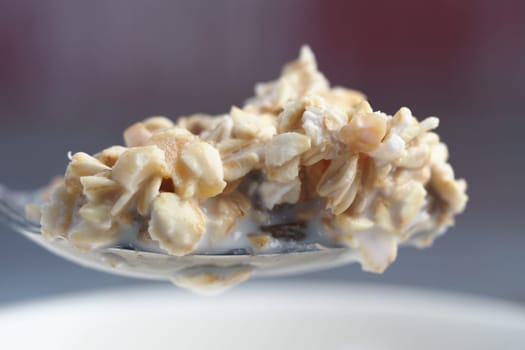 A spoonful of creamy oatmeal garnished with nuts and honey is held up.