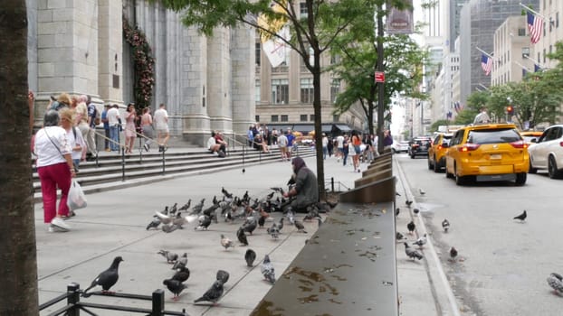 New York City, United States - 11 Sept 2023: Manhattan Midtown street, Fifth 5 avenue, 5th ave, American urban road car traffic, Yellow taxi, USA. Patricks Cathedral. People, pigeons, homeless beggar.