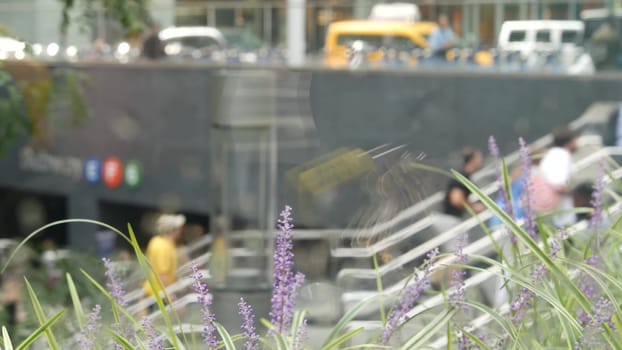 New York City, United States - 11 Sept 2023: Manhattan Midtown Lexington avenue, United States. Defocused people pedestrian, underground metro subway station, stairs on 53 street, urban USA. Greenery.