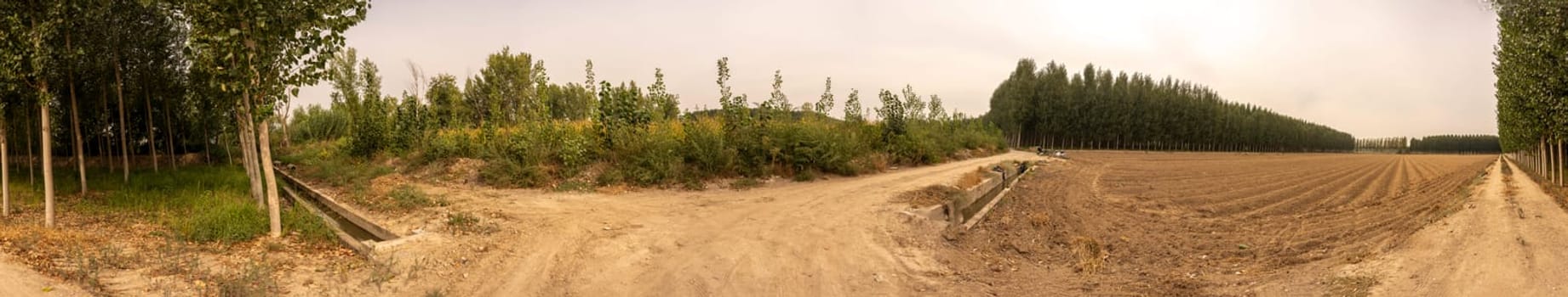 A tranquil and serene panorama that showcases a harmonious blend of vibrant lush tree lines, interspersed with sprawling open agricultural fields set beneath a gently cloudy sky above