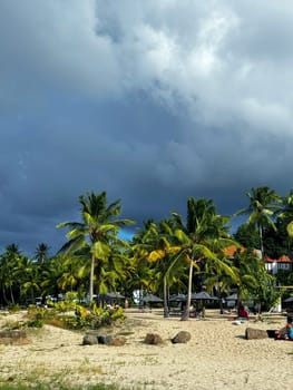 Sandy tropical beach lined with lush palm trees and vacationers relaxing, as a dramatic dark stormy sky looms above, creating a striking contrast with the greenery.