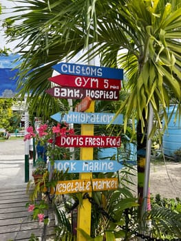 Vibrant handmade signpost points to local places like customs, market, and gym, set in a lush tropical environment with palm leaves and blooming pink flowers