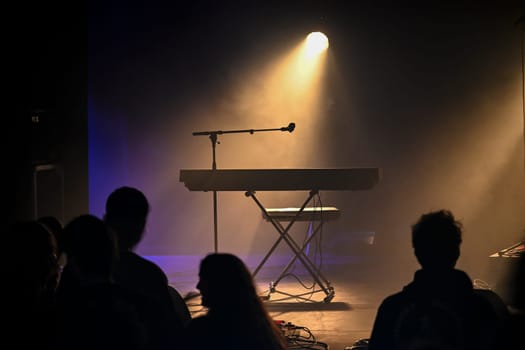 Dimly lit venue features a spotlight illuminating a piano on stage, while a gathered audience eagerly awaits the performance, creating an atmosphere of excitement.