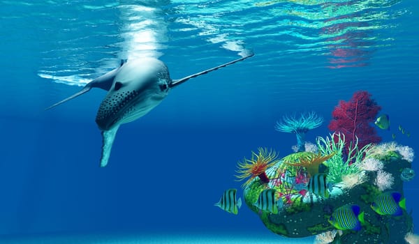 A Humpback Whale dives near a tropical ocean reef full of Copperband Butterflyfish and Royal Angelfish.
