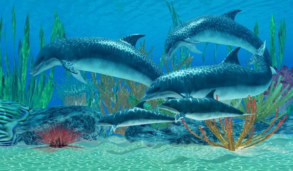 A family of Bottlenose Dolphins swim near an ocean reef.