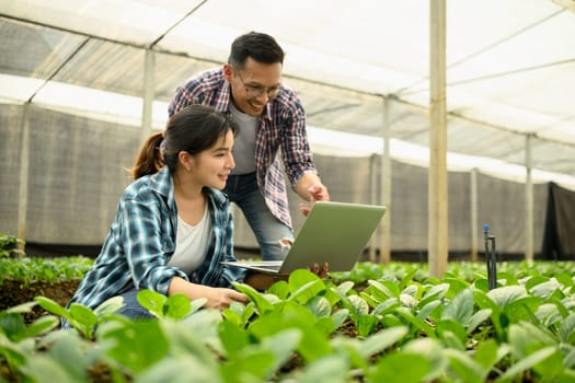 Young farmers managing organic vegetables in a greenhouse, using laptop for data analysis or crop monitoring.