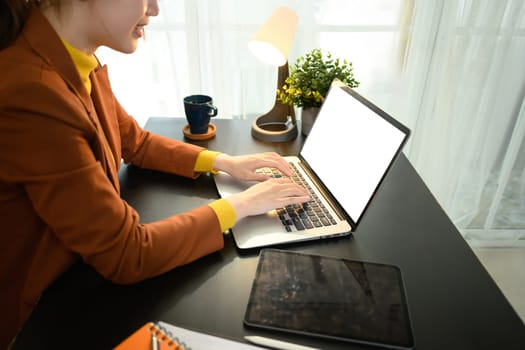 Young businesswoman working on laptop at desk in modern office.