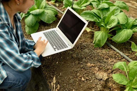 Female farmer using laptop in a greenhouse, collecting data and observing plant growth.