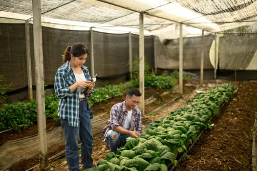Two farmers working together in a greenhouse, collecting data and observing plant growth.