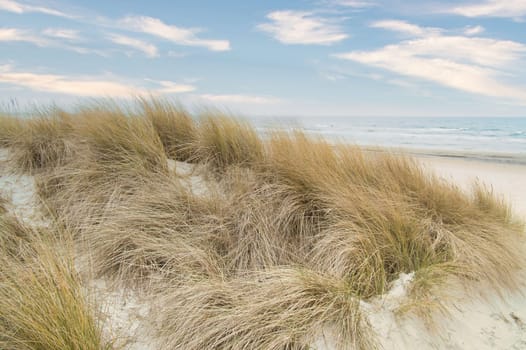 View over the dunes on the island of Usedom to the Baltic Sea. Dune grass and white sand. Nature photo