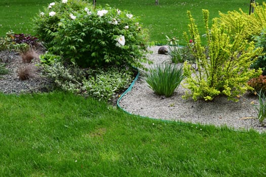A well-maintained garden featuring lush green grass, a variety of plants, and shrubs. Prominent features include a bush with white flowers and several plants with diverse foliage textures. The garden is bordered by a neatly arranged layer of gravel, adding contrast to the greenery